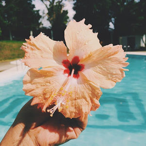 Meet your Posher, Gabby